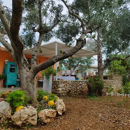 Jenoa, Sealight House *