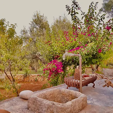 Jenoa, Sealight House Agios Nikolaos (Zakynthos)