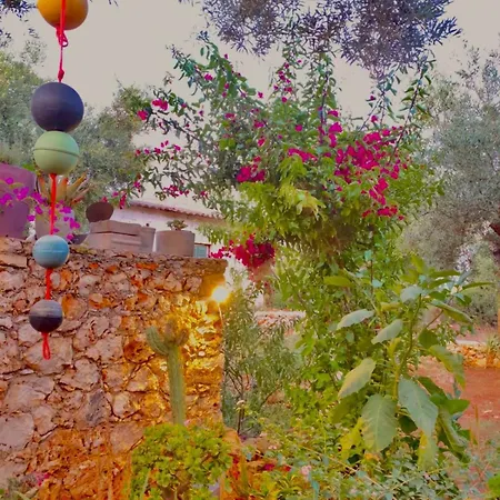 Jenoa, Sealight House Holiday home Agios Nikolaos (Zakynthos)